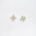 Pear Shape Earrings